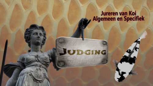 Koi kopen en jureren 6 Jureren Algemeen en Specifiek