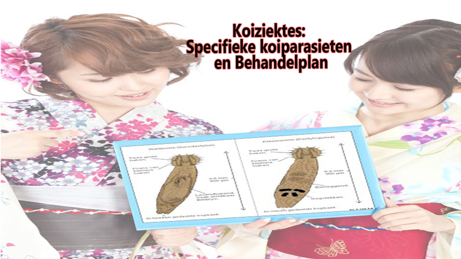 Specifieke Koi parasieten, medicatie en behandelplan 5 Parasieten en Behandelplan
