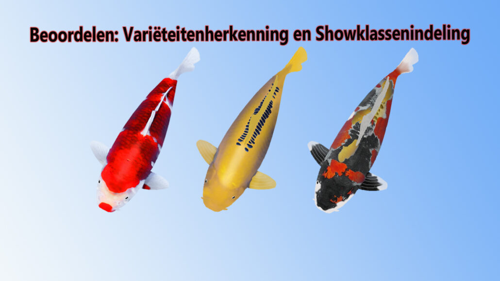 Varieteiten en Showklassen